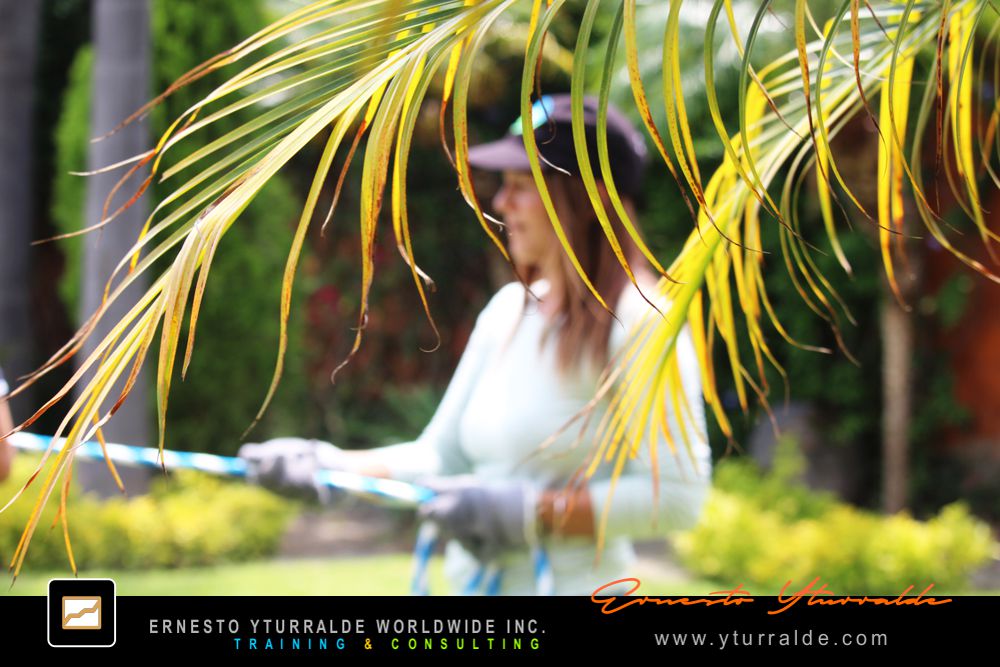 Coach Talleres de Cuerdas | Dinámicas de Grupos y Actividades para Team Building Empresarial